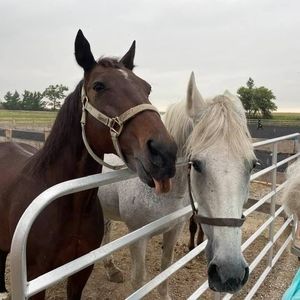 Meet your Posher, Kimberley